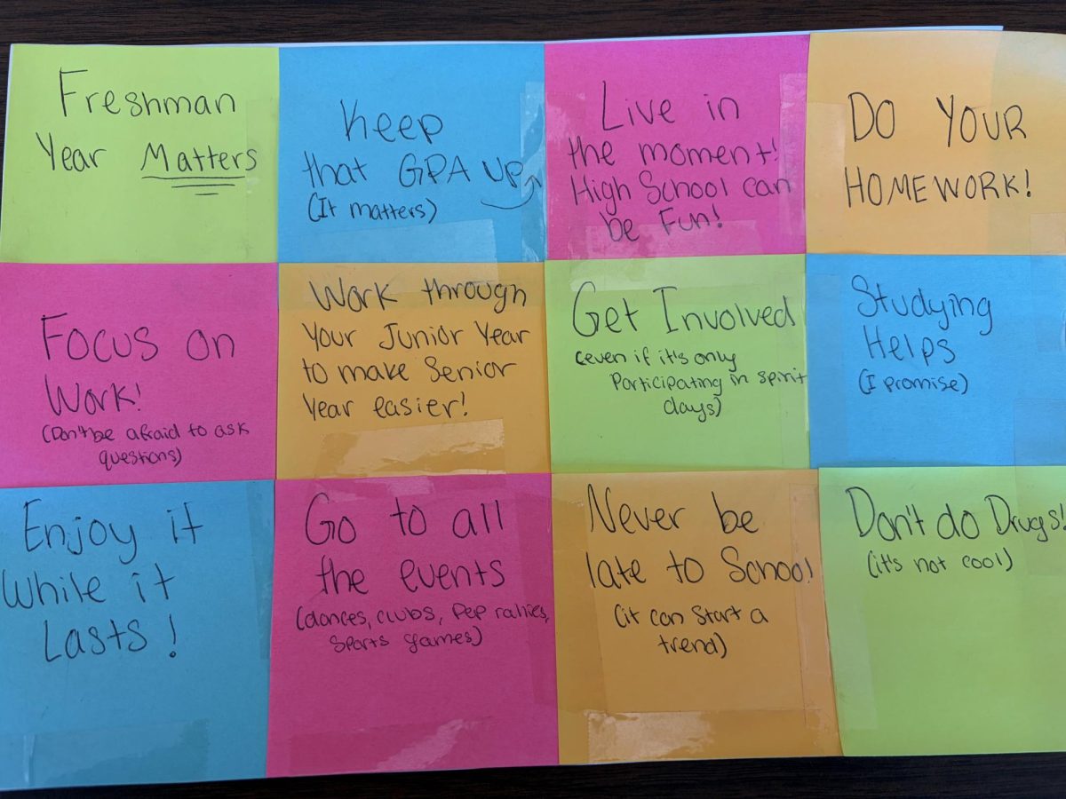 Upperclassmen advice to Underclassmen