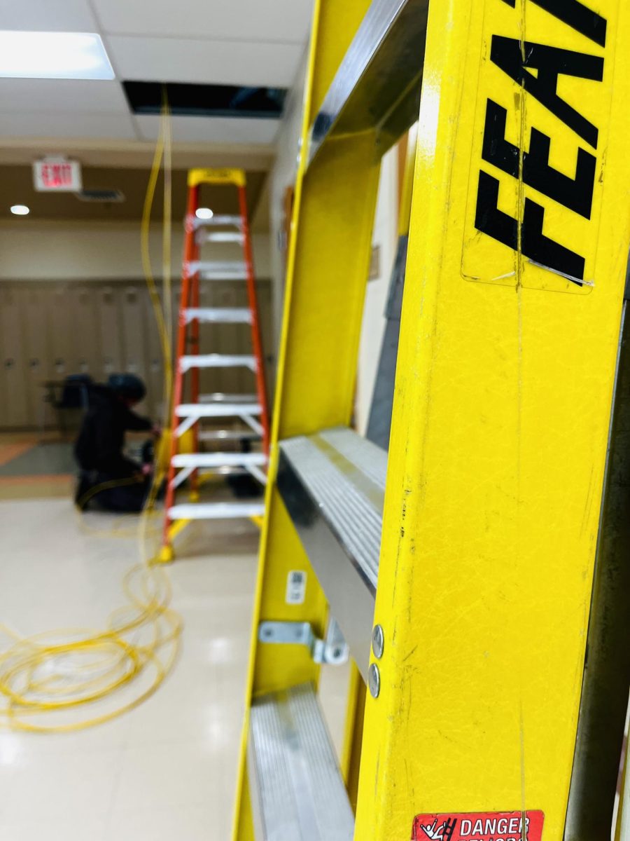 Wires and Ladders