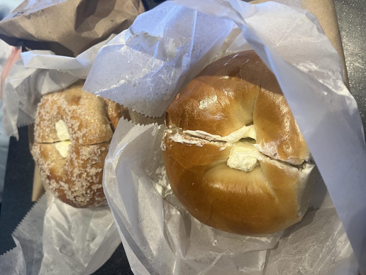 Baby Got Back... Bay Bagels!